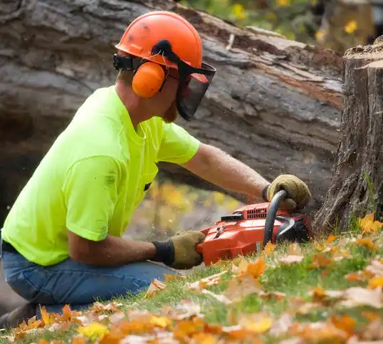 tree services Black Jack